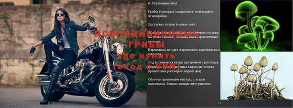 сатива Гусиноозёрск